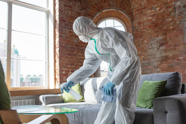 Professional Mold Removal Services in Maine, WI